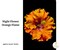 Night Flower Orange Flame - Art paper for Decoupage and Mixed Media Large 24x36